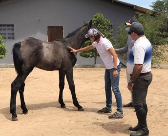 AdrianaB Assessoria2