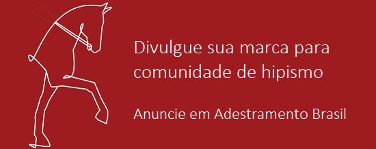 Banner_AB_anuncie_post