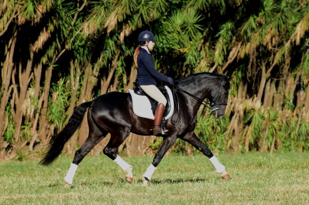 Fellini_MARTINABRANDES DSC_2757a