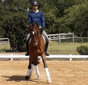 sergio_fiori_ceder-550