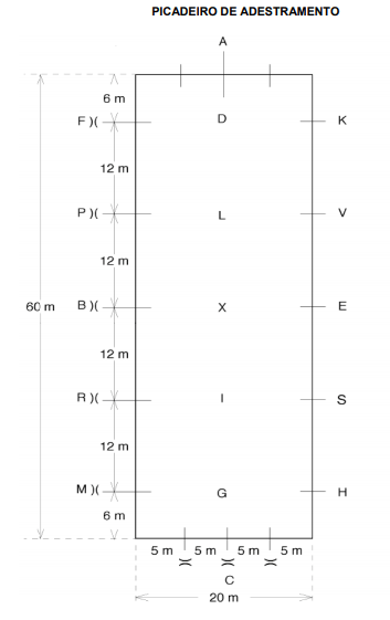 Picadeiro de adestramento