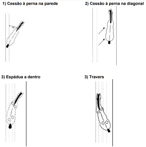 movimentos_laterais_cessao_espadua_Travers