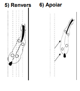 movimentos_laterais_renvers_apoiar
