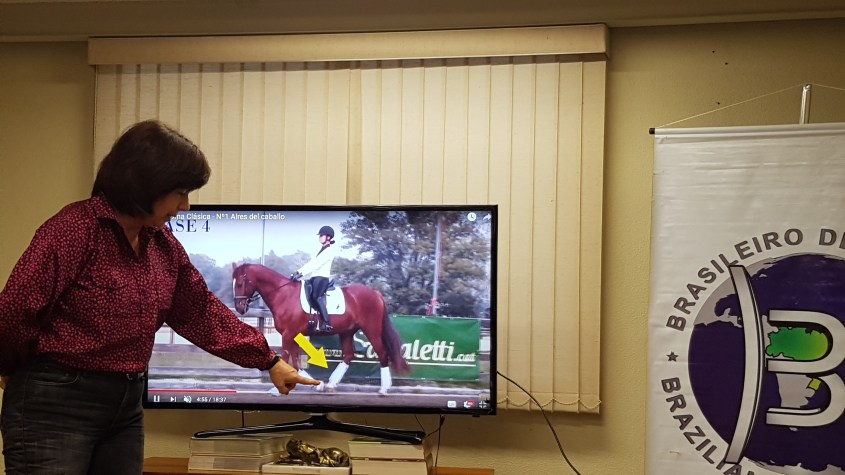 palestra_claudia_mesquita