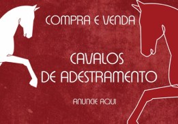 COMPRA E VENDA - anuncie