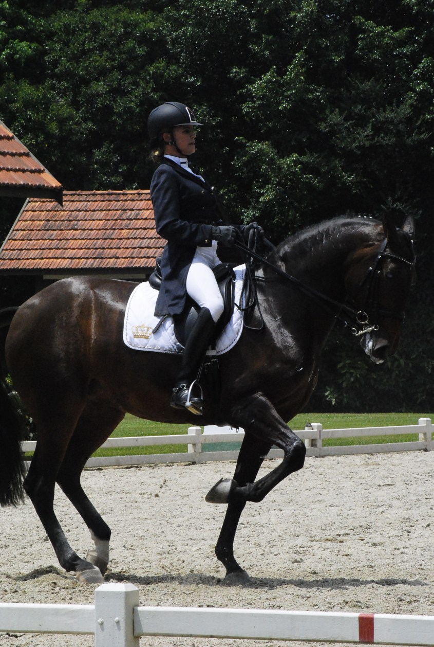 MICHELINI SHULZE_BRENTINA