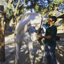 Henrique_Macedo-baluarte_do_vouga