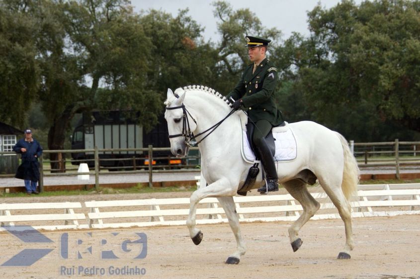 Joao_Victor_Oliva_Xiripiti-CDICascais-RuiGodinho