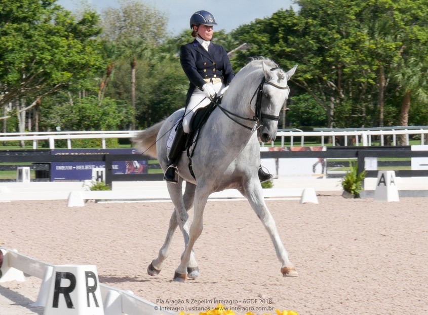 Zepelim_Interagro_25feb2018-1700748