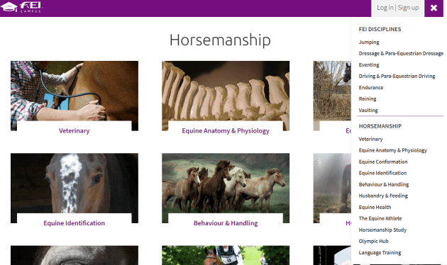 FEI_campus_horsemanship