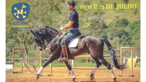 Clinica chevals Carlos Renato Veiga Brito