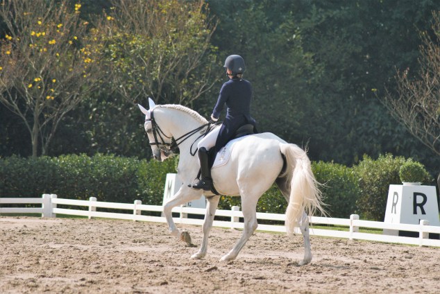 Isabela_Vale_Zephiro-TAC