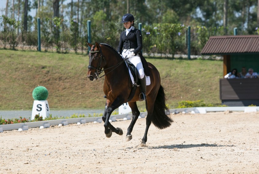 Giovanna Pass_Zingaro_Wilson Spinardi Junior
