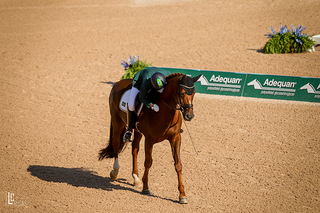 rodolpho_riskalla_WEG-Ruas