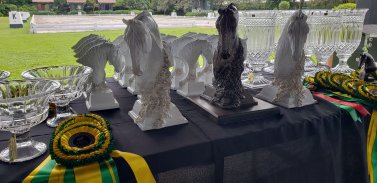 festoval_Lusitano_trofeus