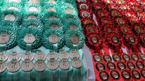 medalhas-escarapelas-CHSA