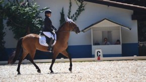 Michele_Inventor-CHSA