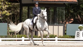 Pedro_Almeida_Aoleo-Jane_monteiro - 2