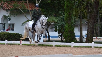 JOÃO VICTOR OLIVA JORGE VO-Carol Chemin