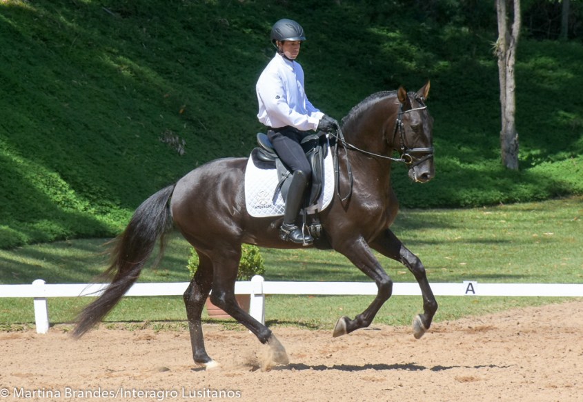 Lavagante-Interagro-Martina_Brandes