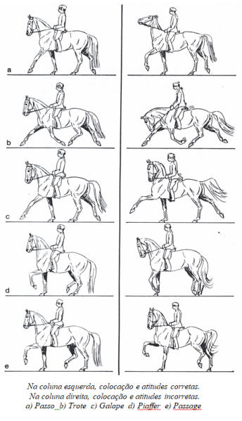 Formação_Cavalo_manual_Ingrid