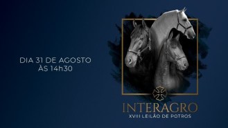 leilão_Interagro_2019