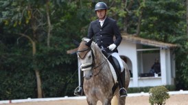 RICARDO NARDY SILVA-Impacto-carol-chemin