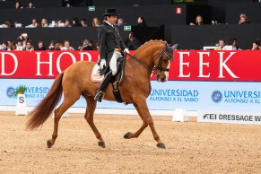 20191130 Madrid Horse Week