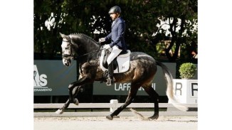 Adriano_Soares-Monsanto