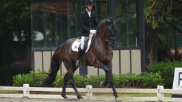 Coudelaria do Castanheiro-Tupa