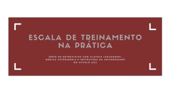 escala_treinamento_arte