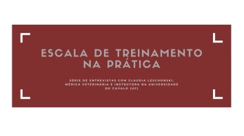 escala_treinamento_arte