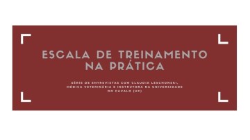 escala_treinamento_arte